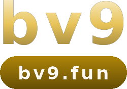 bv9 logo